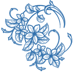 цветы.png цветы.png